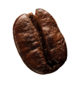 demo-attachment-42-coffee-beans-P4MXYZD5@2x