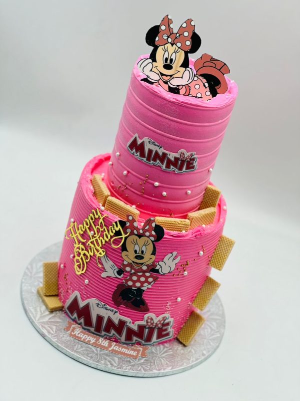 Minnie Mouse 2 Tier Cake